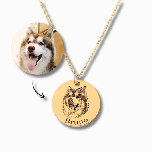 Gemify™ Disc pet chain Custom Photo Disc Pet Necklace & Keychain